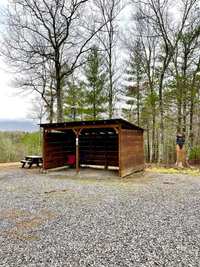 Crazy Bear - Motorcycle Friendly Home With Hot Tub And Grill Tellico Plains 外观 照片